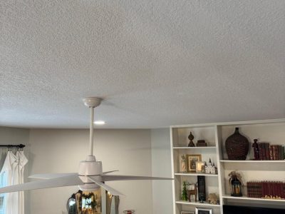 Fan Light Installation Services